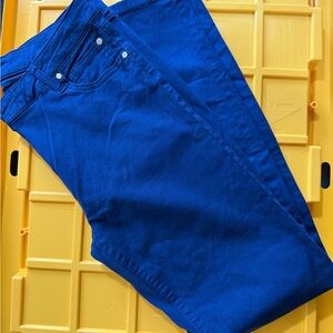 Celebrity Pink Blue Pants, Jayden skinny 13/31 NWOT